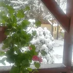 Kwatera prywatna Parkowa *