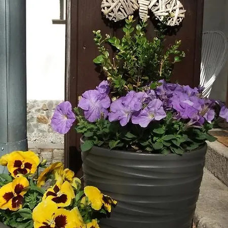 Parkowa Pansiyon Szklarska Poreba