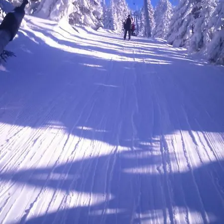 Parkowa Quarto em Acomodações Particulares