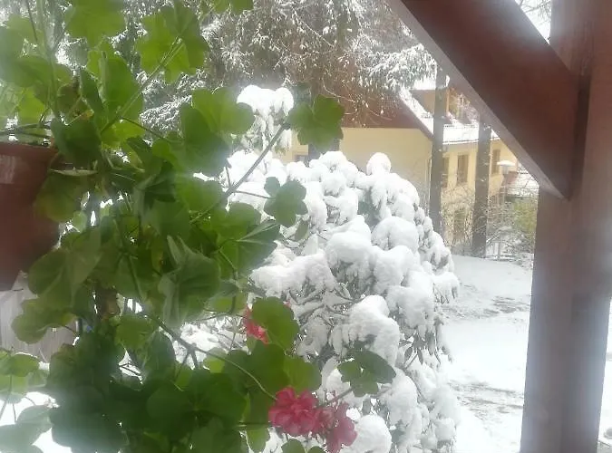 Séjour chez l'habitant Parkowa *